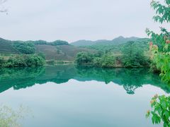 -龙坞茶村