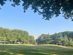 -河南省黄河迎宾馆