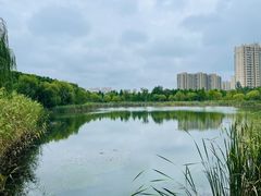 -昆山城市生态森林公园