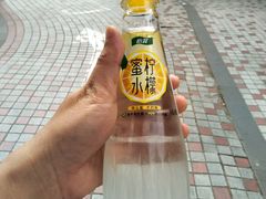 -海口东站