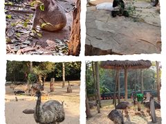 -广州长隆野生动物世界