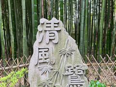 -陈家山荷花公园