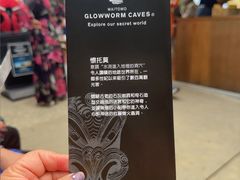 -怀托摩萤火虫洞