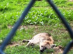 -大连森林动物园