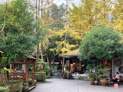 -青城甲(青城山店)