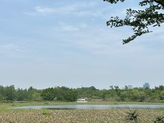 -白鹭湾湿地公园