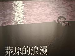-四川美术馆
