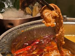 -牛New寿喜烧(虹桥新天地店)