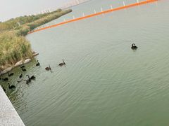 -天津东丽湖风景区