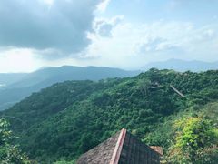 -三亚亚龙湾人间天堂鸟巢度假村