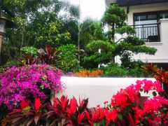 -南国锋味椰子鸡(瀚海店)