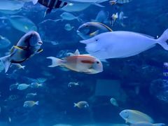 -海合安成都极地海洋公园