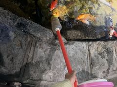 -苏州海洋馆