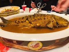 -阿五黄河大鲤鱼(纬三路店)