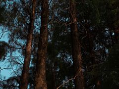 -四海公园(南山区)