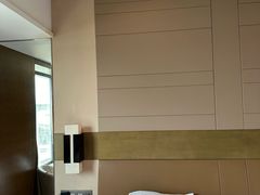 -扬州绿地铂骊酒店