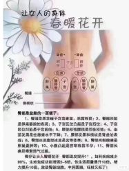 点击看大图 -玛莲朵·海菲秀冰珀科