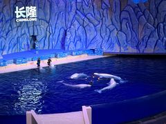-珠海长隆海洋王国
