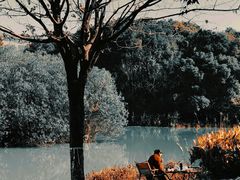-艾溪湖湿地公园