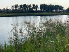 -春花秋色城市公园