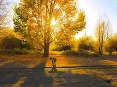 -润生堂(泰然四路店)