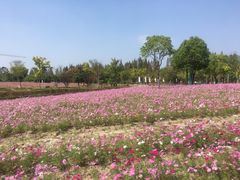 -歌斐颂巧克力小镇