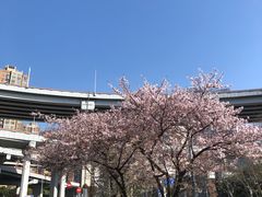 -南浦大桥长途旅游客运站