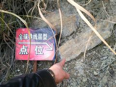-金钉子远古世界景区
