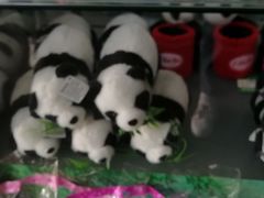-临沂动植物园