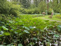 -百翠山居.家飨餐厅