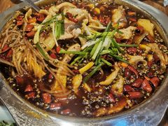 -乡土特色.冷锅鱼.牦牛肉汤锅
