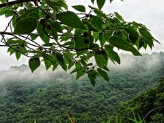 -飞天山旅游区