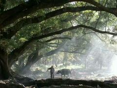 -北岐滩涂