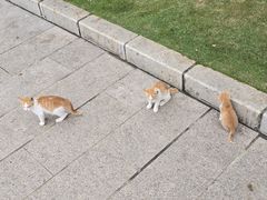-石炮台公园