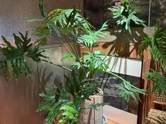 -一坐一忘云南菜(三里屯店)
