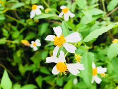 -玉和山庄农家菜