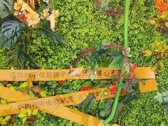 -天津意大利风情旅游区