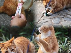 -广州兰圃