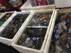 -金巴兰鱼市场