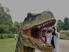 -南京银杏湖乐园