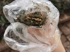 -叶氏麻糍(鼓浪屿店)