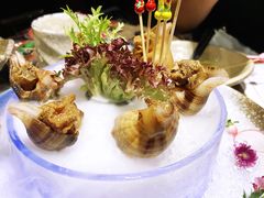 -古田居·特色寿司料理(骏欣中心店)