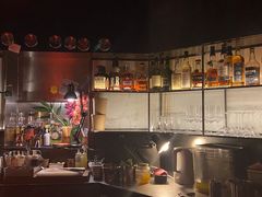 -毛辣果·酸