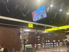 -谢列梅捷沃国际机场