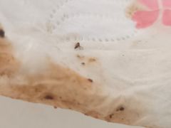 -必胜客(宝杨路宅急送店)