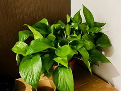 -大溪地量贩KTV(合肥1912店)