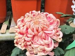 -汇龙潭