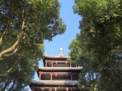 -白马涧龙池景区