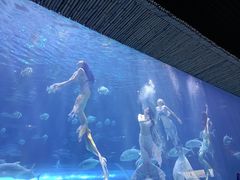 -华夏文旅西安度假区