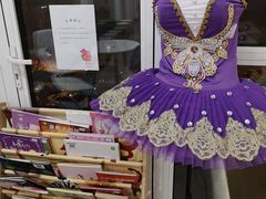 -中央芭蕾舞团·中芭艺蕾(酒仙桥明星校区)
